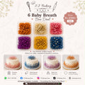 6 Baby Breath Boxes Deal