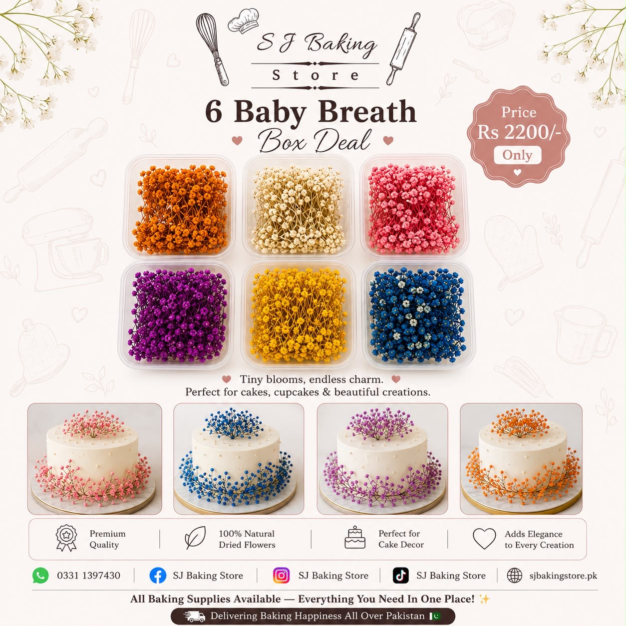 6 Baby Breath Boxes Deal